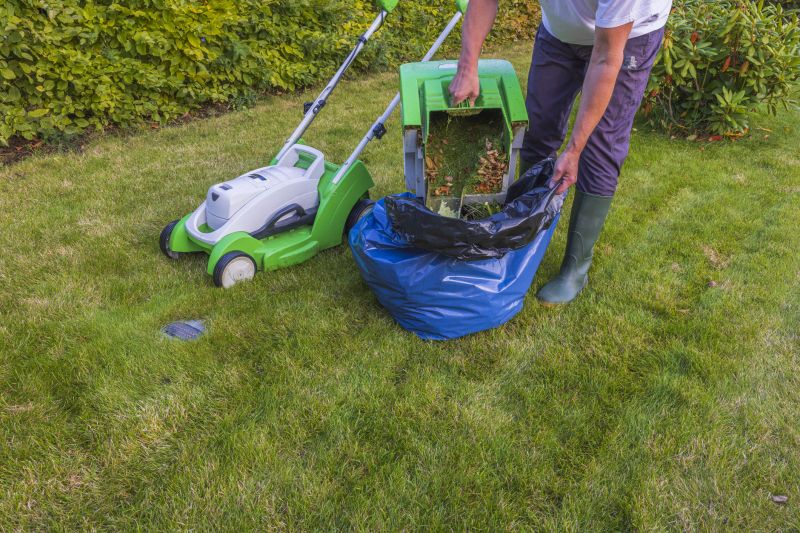 Lawn Vacuuming