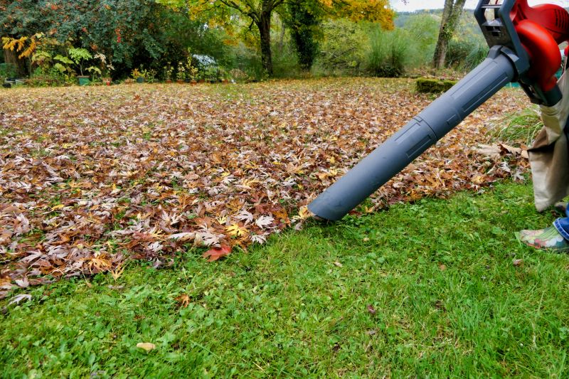 Lawn Vacuuming