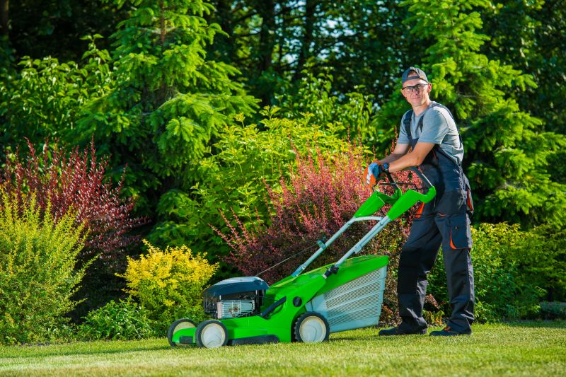 Lawn Vacuuming