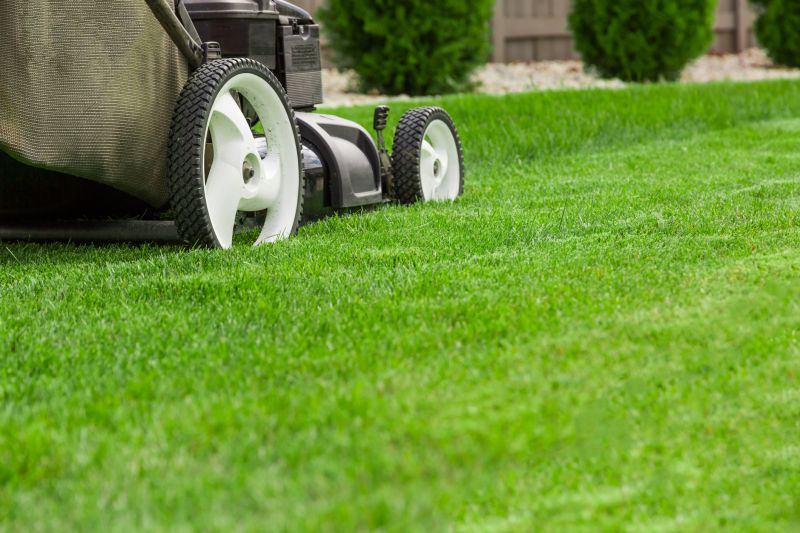 Products For Lawn Vacuumings in use